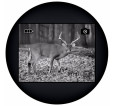 Digital Night Vision Monocular Levenhuk Atom Digital DNM100