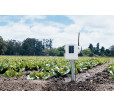 Wireless Leaf & Soil Moisture and Temperature Station Davis