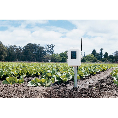 Complete Wireless Leaf & Soil Moisture and Temperature Station Davis