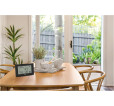 Digital Wireless Rain Gauge TFA Splash
