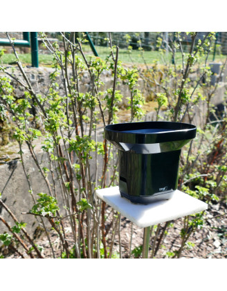 Buy Rain Gauge TFA 30.3233.01 - Stratosens.com