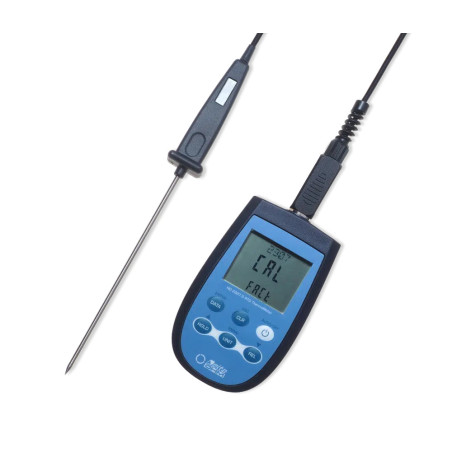 Portable Thermometer Pt100 Delta Ohm DHD2307.0